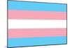 Transgender Pride Flag-null-Mounted Poster