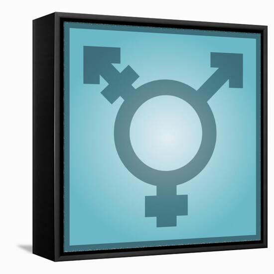 Transgender Symbol, Artwork-Stephen Wood-Framed Stretched Canvas