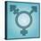 Transgender Symbol, Artwork-Stephen Wood-Stretched Canvas