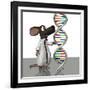 Transgenic Mouse, Conceptual Artwork-Friedrich Saurer-Framed Photographic Print