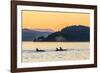 Transient Killer Whales (Orcinus Orca) Surfacing at Sunset-Michael Nolan-Framed Photographic Print