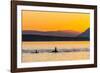 Transient Killer Whales (Orcinus Orca) Surfacing at Sunset-Michael Nolan-Framed Photographic Print