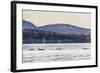 Transient Killer Whales (Orcinus Orca)-Michael Nolan-Framed Photographic Print