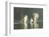 Transient Orca Killer Whales, Pacific Northwest-Stuart Westmorland-Framed Photographic Print