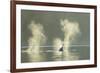 Transient Orca Killer Whales, Pacific Northwest-Stuart Westmorland-Framed Photographic Print