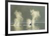 Transient Orca Killer Whales, Pacific Northwest-Stuart Westmorland-Framed Photographic Print
