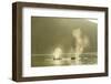 Transient Orca Killer Whales, Pacific Northwest-Stuart Westmorland-Framed Photographic Print