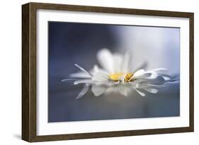 Transient Reflections-Valda Bailey-Framed Photographic Print