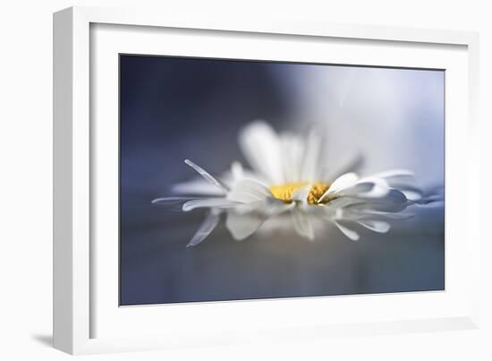 Transient Reflections-Valda Bailey-Framed Photographic Print