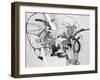 Transit-Joshua Schicker-Framed Giclee Print