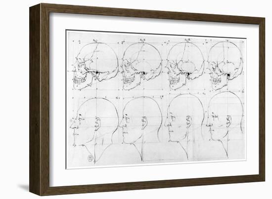 Transition from the Monkey to Apollo, c.1791-Petrus Camper-Framed Giclee Print