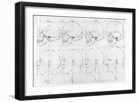 Transition from the Monkey to Apollo, c.1791-Petrus Camper-Framed Giclee Print