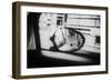 Transition-Marco Virgone-Framed Photographic Print