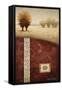 Transitional Landscape I-Michael Marcon-Framed Stretched Canvas