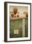 Transitional Landscape III-Michael Marcon-Framed Art Print