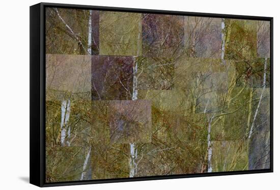 Transitions In Gold-Doug Chinnery-Framed Stretched Canvas