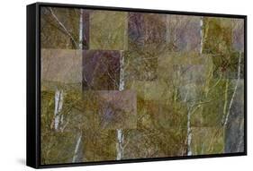 Transitions In Gold-Doug Chinnery-Framed Stretched Canvas