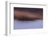 Translucent Awakening-Jacob Berghoef-Framed Photographic Print