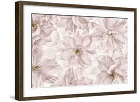 Translucent Cherry Blossom-Cora Niele-Framed Photographic Print