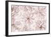 Translucent Cherry Blossom-Cora Niele-Framed Photographic Print