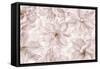 Translucent Cherry Blossom-Cora Niele-Framed Stretched Canvas