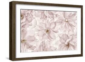 Translucent Cherry Blossom-Cora Niele-Framed Photographic Print