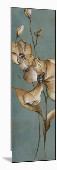 Translucent Magnolias-Lanie Loreth-Mounted Premium Giclee Print