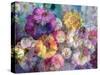 Translucent Multicolor Blossoms-Alaya Gadeh-Stretched Canvas