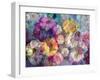 Translucent Multicolor Blossoms-Alaya Gadeh-Framed Photographic Print