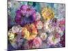 Translucent Multicolor Blossoms-Alaya Gadeh-Mounted Photographic Print