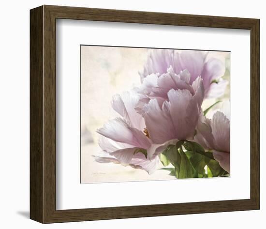 Translucent Peony I-Debra Van Swearingen-Framed Photo