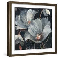 Translucent Poppies-Albena Hristova-Framed Art Print