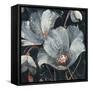 Translucent Poppies-Albena Hristova-Framed Stretched Canvas