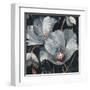 Translucent Poppies-Albena Hristova-Framed Art Print