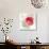 Translucent Poppy II-Lanie Loreth-Art Print displayed on a wall