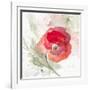 Translucent Poppy II-Lanie Loreth-Framed Art Print