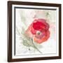 Translucent Poppy II-Lanie Loreth-Framed Art Print