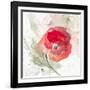 Translucent Poppy II-Lanie Loreth-Framed Art Print