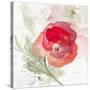 Translucent Poppy II-Lanie Loreth-Stretched Canvas