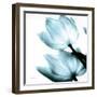 Translucent Tulips II Sq Aqua Crop-Debra Van Swearingen-Framed Art Print