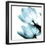 Translucent Tulips II Sq Aqua Crop-Debra Van Swearingen-Framed Art Print