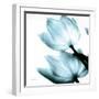 Translucent Tulips II Sq Aqua Crop-Debra Van Swearingen-Framed Art Print