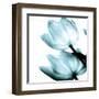 Translucent Tulips II Sq Aqua Crop-Debra Van Swearingen-Framed Art Print