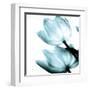 Translucent Tulips II Sq Aqua Crop-Debra Van Swearingen-Framed Art Print