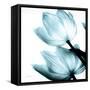 Translucent Tulips II Sq Aqua Crop-Debra Van Swearingen-Framed Stretched Canvas