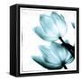 Translucent Tulips II Sq Aqua-Debra Van Swearingen-Framed Stretched Canvas