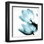 Translucent Tulips II Sq Aqua-Debra Van Swearingen-Framed Art Print