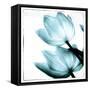 Translucent Tulips II Sq Aqua-Debra Van Swearingen-Framed Stretched Canvas