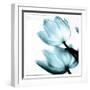 Translucent Tulips II Sq Aqua-Debra Van Swearingen-Framed Art Print