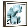 Translucent Tulips III Sq Aqua Crop-Debra Van Swearingen-Framed Art Print